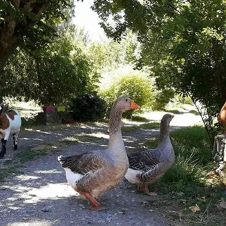 Le Mas Des Pins * Beynes (Yvelines)